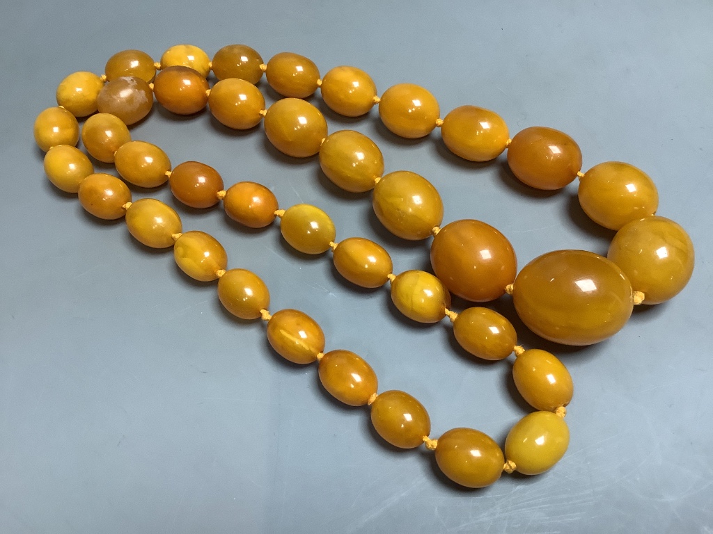 A single strand graduated oval amber bead necklace, 82cm, gross weight 120 grams